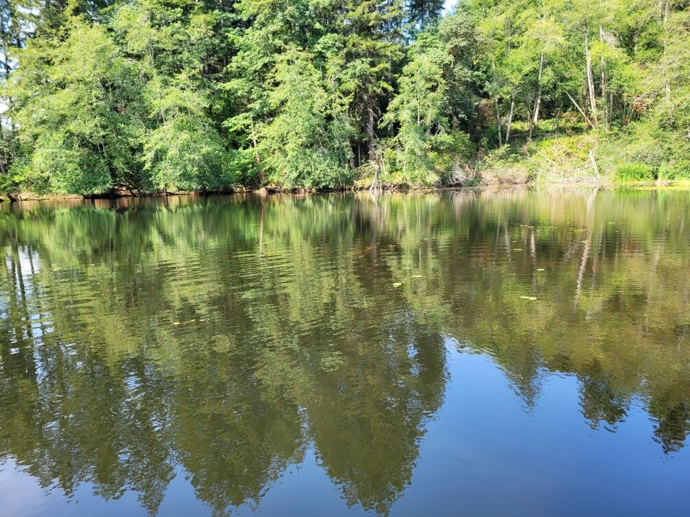 view of the community pond