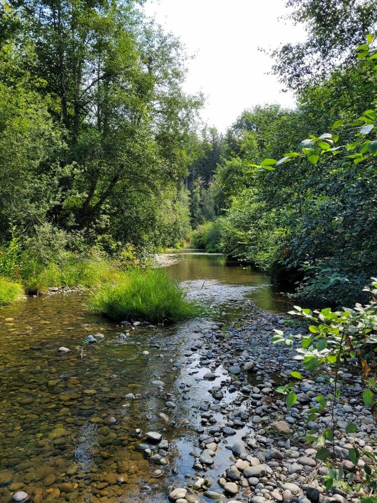 view of the Tahuya River